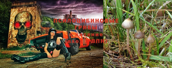 дживик Абаза