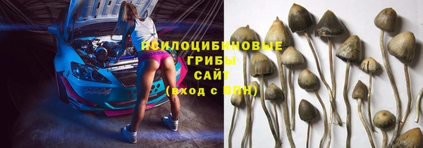 дживик Абаза