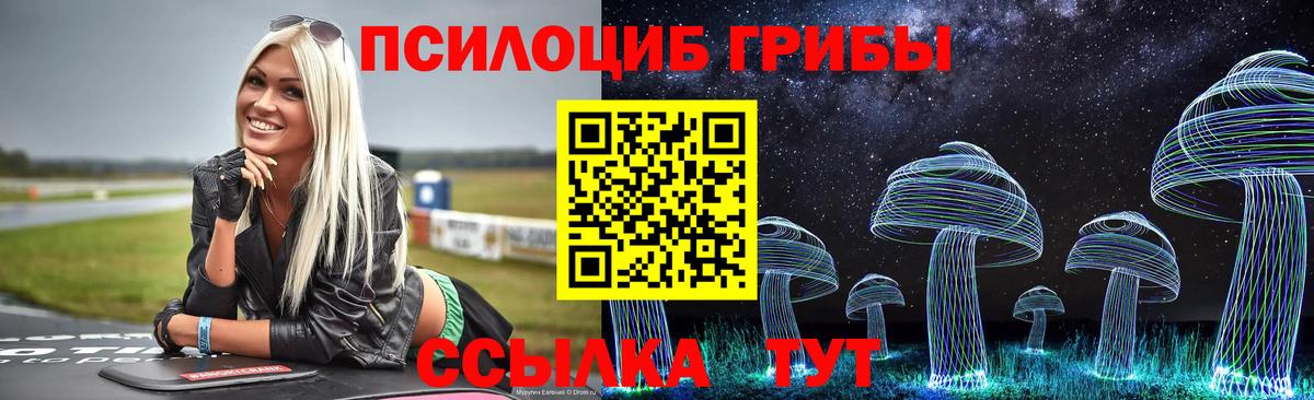 Псилоцибиновые грибы MAGIC MUSHROOMS  Вход с VPN  Карпинск  Галлюциногенные грибы Psilocybine cubensis 